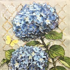 two blue hydrangeas with green leaves on a lace doily, and a butterfly