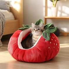 a cat is sitting in a strawberry shaped bed