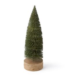 a small pine tree sitting on top of a wooden base