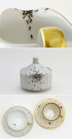 three different types of porcelain dishes with gold trimmings and black bugs on them