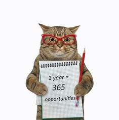 a cat wearing glasses holding a sign that says 1 year = 3650 opportunityless