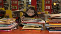 a stuffed monkey wearing glasses sitting in front of a pile of books