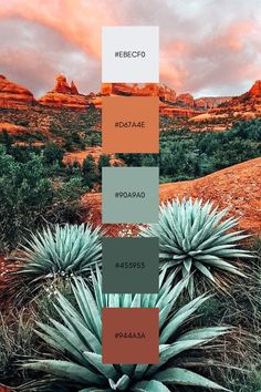 the color palettes for this desert scene are different