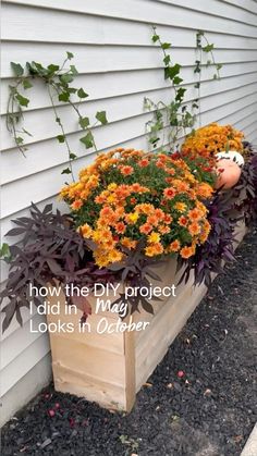 some flowers are in a wooden planter on the side of a house with text overlay that says how the diy project did it look like