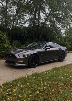 a gray mustang parked on the side of a road next to grass and trees in front of it