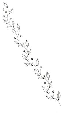 a line drawing of leaves on a white background