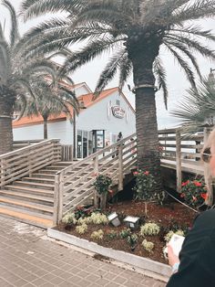 a woman standing in front of a palm tree on the side of a road next to a building