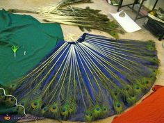 peacock feathers are spread out on the floor next to t - shirts and other items