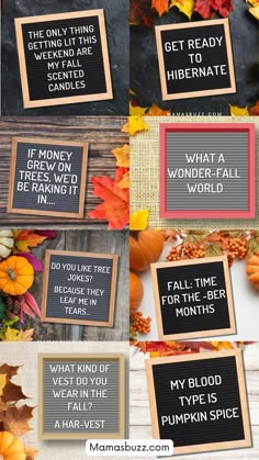 fall letter board quotes Fall Letterboard Quotes, Fall Letterboard, Fall Letter Board, Funny Fall Quotes, Pumpkin Quotes, Thanksgiving Letter, Fall Chalkboard