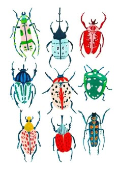 six different colored bugs on a white background