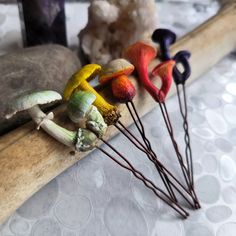 several different colored mushrooms are sitting on a stick