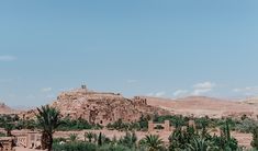 an old village in the desert surrounded by palm trees