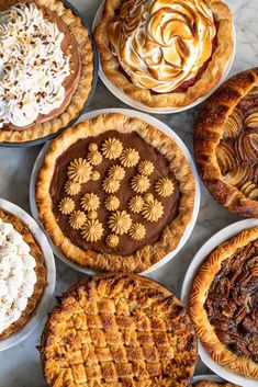 many different pies are arranged on the table