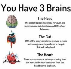 Brain Facts, Medical Knowledge, Mental And Emotional Health