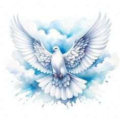 a white dove flying through the air with its wings spread out in front of clouds