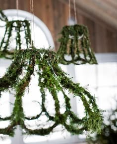 moss covered chandelier hanging from the ceiling