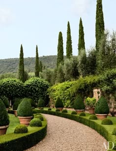 an image of a beautiful garden setting