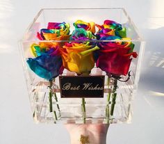 a hand holding a clear box with colorful roses in it