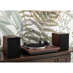 a record player and speakers on top of a wooden table in front of a plant wallpaper