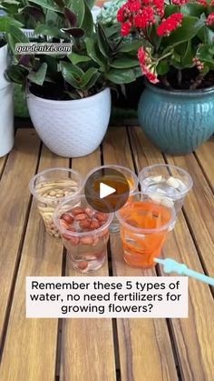 there is a video about how to grow flowers in containers on the table with text overlay