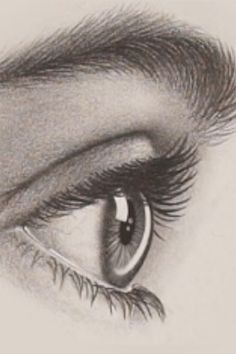 a pencil drawing of an eye with long lashes