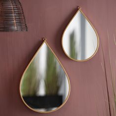 two mirrors hanging on the side of a wall next to a potted green plant