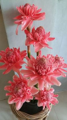 some pink flowers are in a wicker basket