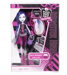 the monster high school doll is in its box