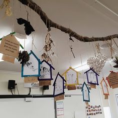 several birdhouses hanging from a branch with paper notes attached to them and pictures pinned to the branches