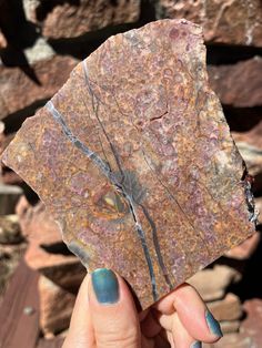 a person holding up a piece of rock in their hand