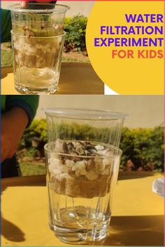 water filtration experiment for kids