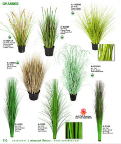 the different types of grass are shown in this poster