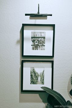 two framed pictures hang on the wall next to a potted plant