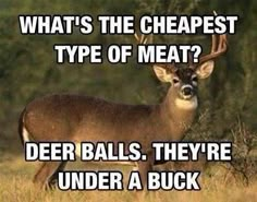 a deer with the caption what's the cheapest type of meat? deer balls they're under a buck