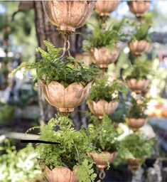 several copper hanging planters filled with green plants