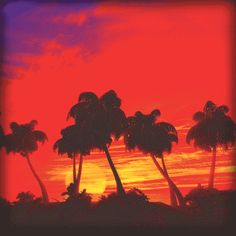 the sun is setting behind palm trees in front of an orange sky with purple clouds