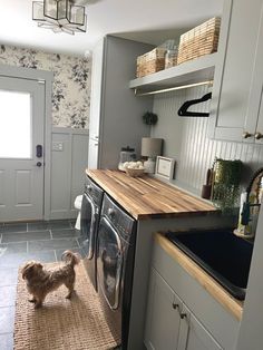 a dog is standing in the kitchen next to an open washer and dryer