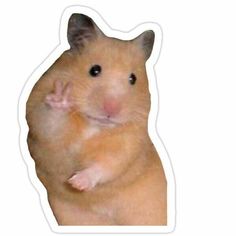 a brown hamster sticker on a white background