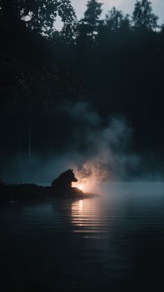 a bear is sitting in the water at night