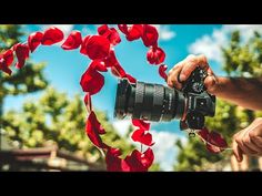 a person holding a camera with red flowers in the shape of a heart behind them