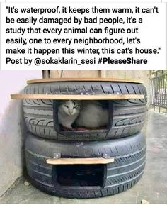 a cat sitting in the middle of two stacked tires with caption that reads it's waterproof, it keeps them warm, it can't be easily damaged by bad people