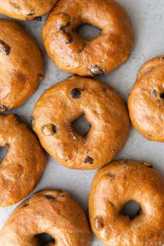 fresh baked bagels with chocolate chips on top