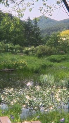 there is a small pond in the middle of this field with flowers and trees around it