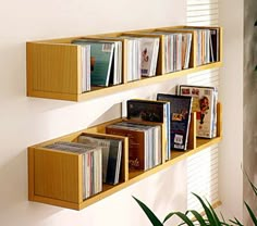 a wall mounted shelf filled with lots of books and cds next to a plant in a living room