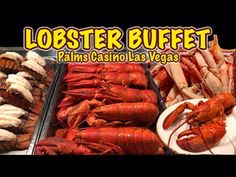 lobsters and other seafood are on display at the lobster buffet in palm casino las vegas