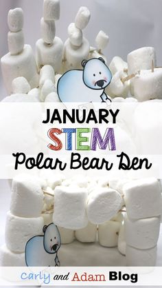 polar bear den stem Polar Bear Unit, Winter Stem Challenges, Polar Bears Activities, Winter Stem Activities, Winter Stem, Student Reflection, Penguins And Polar Bears, Stem Lesson, Winter Activity