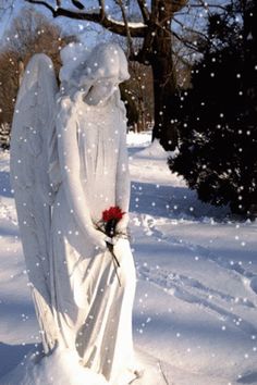 an angel statue standing in the snow with a red rose on it's lap