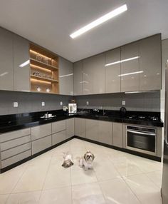 two dogs laying on the floor in a kitchen