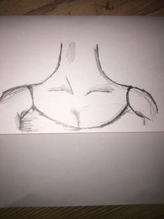 a drawing of a man's torso on white paper