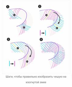 the instructions for how to draw a fish's head with colored lines and dots